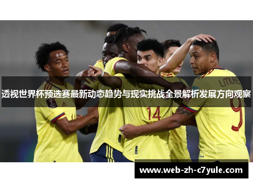 透视世界杯预选赛最新动态趋势与现实挑战全景解析发展方向观察 透视世界杯预选赛最新动态趋势与现实挑战全景解析发展方向观察
